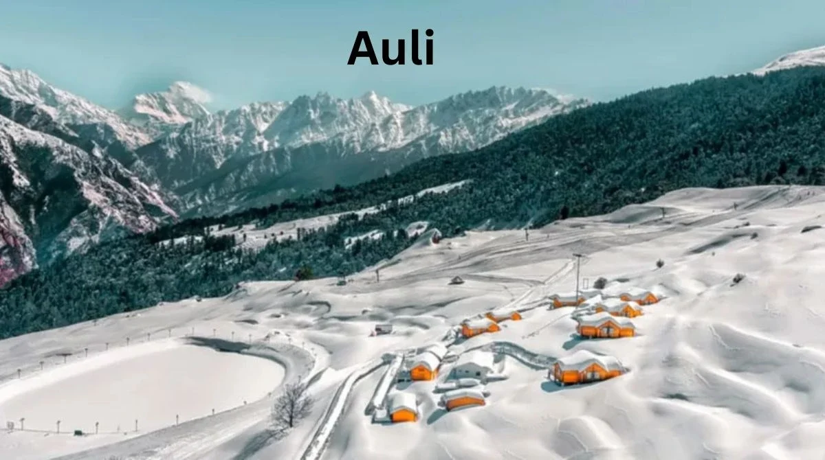 Auli