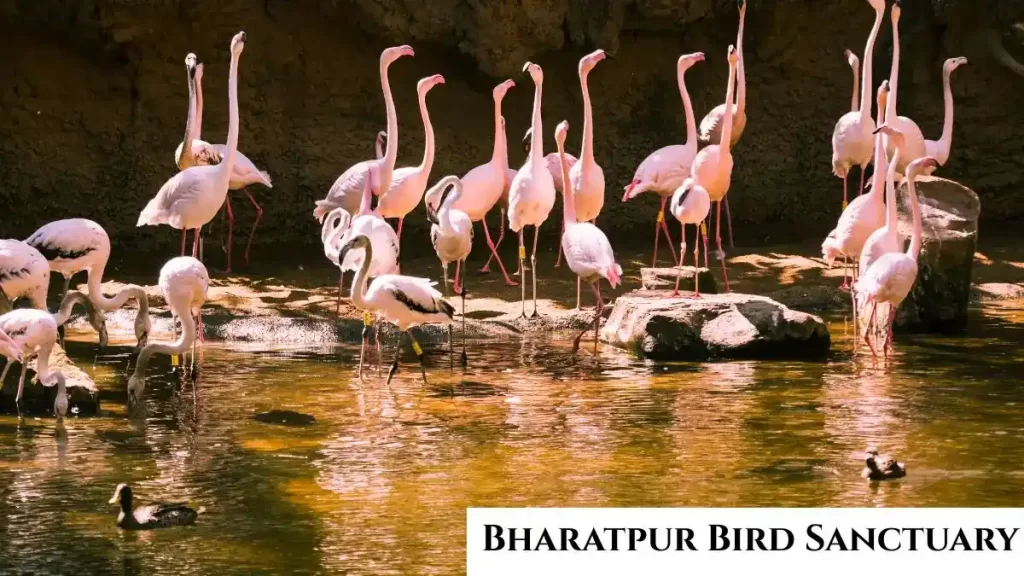 5 Amazing Weekend Destinations near Gurgaon within 200 KM 5 Amazing Weekend Destinations near Gurgaon within 200 KM