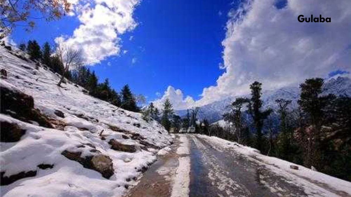 Gulaba: The Picnic Spot