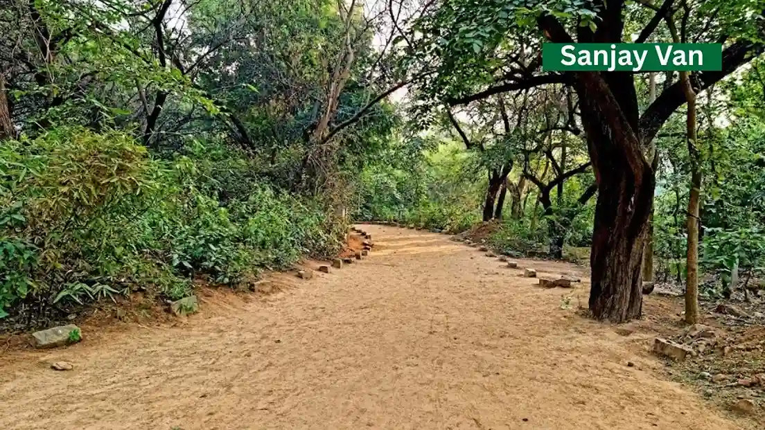 Sanjay Van: The Real Jungle Escape Sanjay Van: The Real Jungle Escape