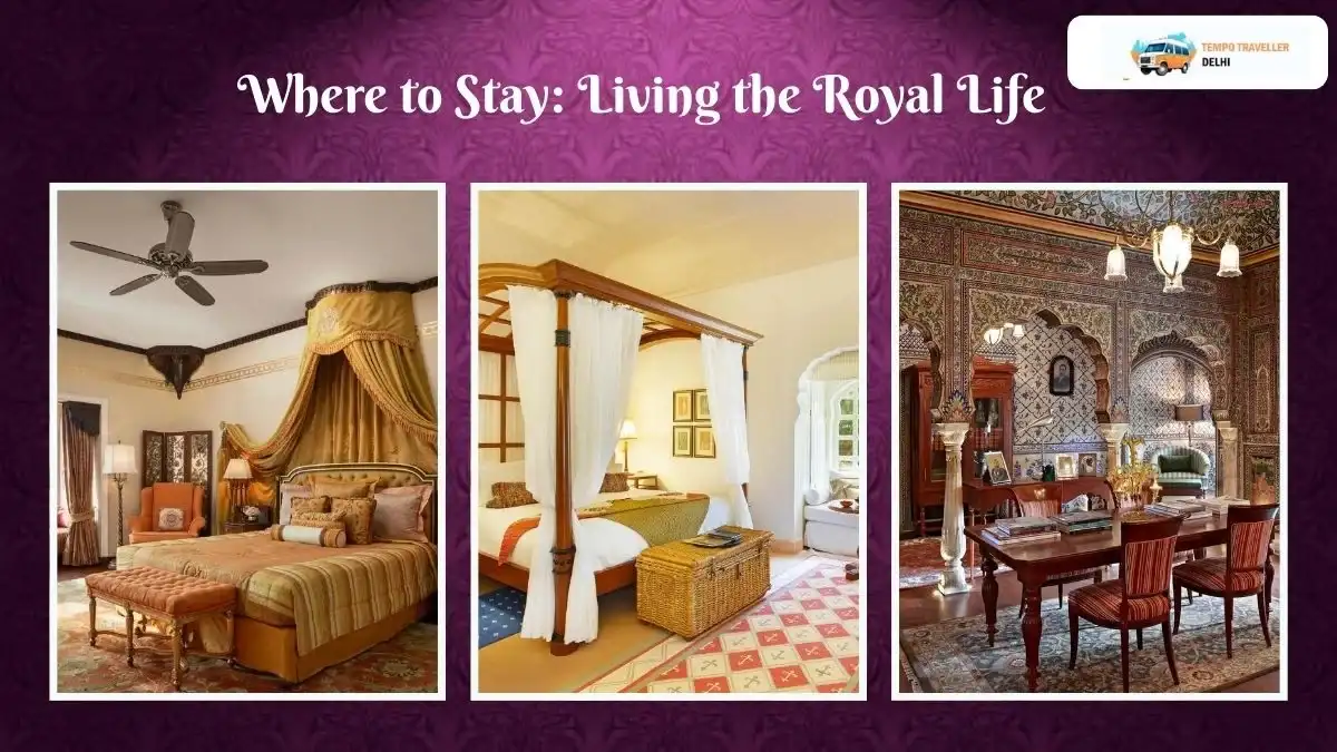 Where to stay on your luxury trip to Jaipur from Delhi Where to stay on your luxury trip to Jaipur from Delhi