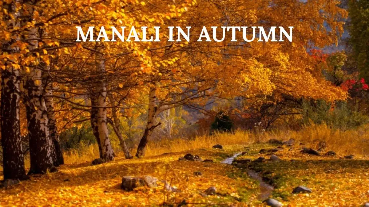 The Autumn Transition: October and November
