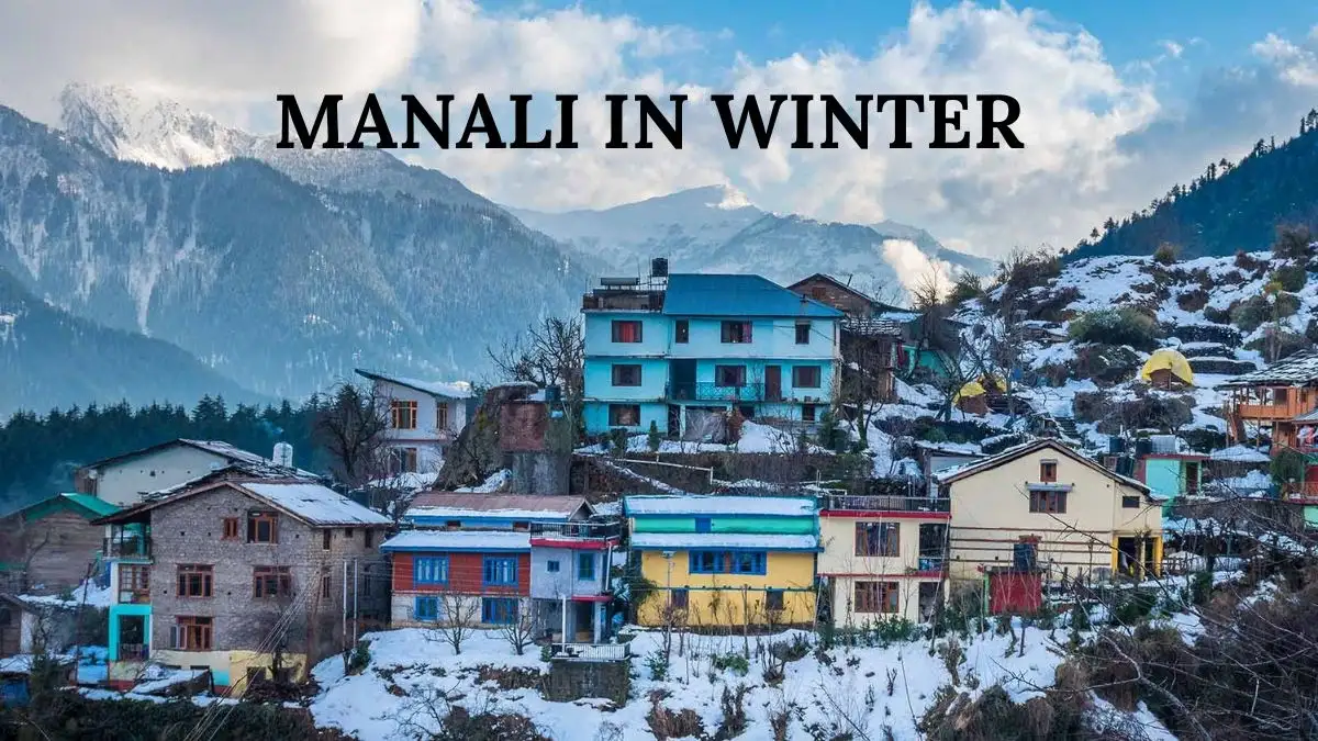 The Winter Wonderland: December to February